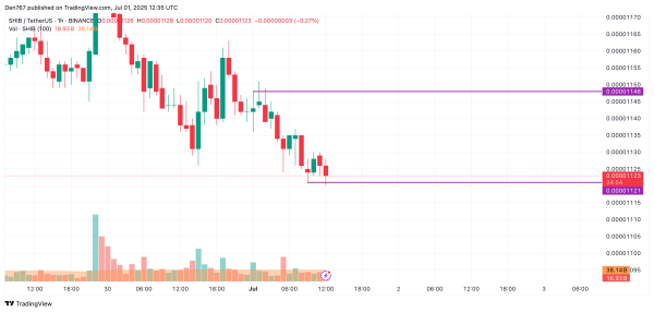 SHIB Price Prediction for July 1