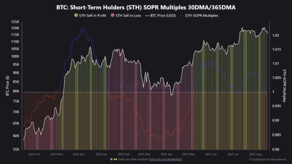 Bitcoin Short-Term Holders Flip To Losses For First Time Since January Bitcoin Short-Term Holders Flip To Losses For First Time Since January