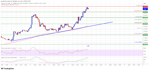 Bitcoin Price Hits New Milestone ATH, Bulls Eye Even Higher Levels