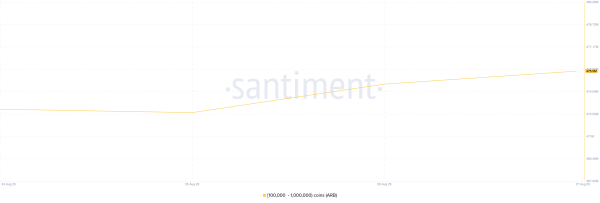 What Crypto Whales Are Buying For Potential Gains in September 