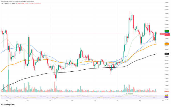 XRP Just Made Most Important Recovery of Summer
