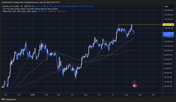 Bitcoin Short-Term Holders Flip To Losses For First Time Since January Bitcoin Short-Term Holders Flip To Losses For First Time Since January