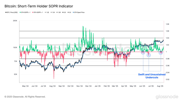 Bitcoin’s New Investors Hold the Line as Bulls Eye Return to $122,000 Bitcoin’s New Investors Hold the Line as Bulls Eye Return to $122,000