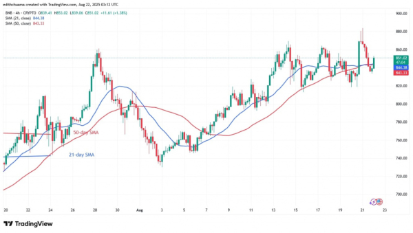 BNB's Upward Movement Stops At A High Of $870