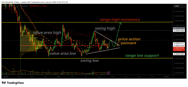 Shiba Inu price rally ahead? Bullish chart signals breakout