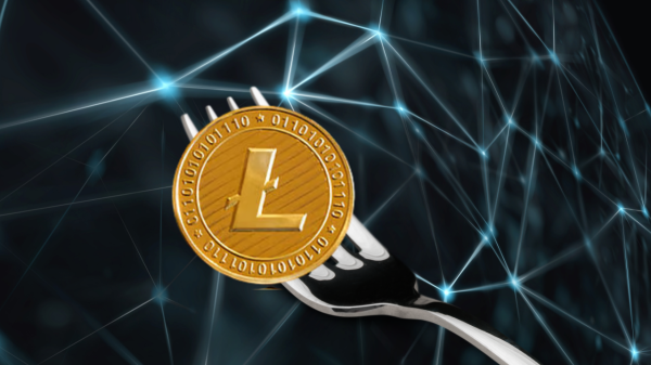 What is a Fork in Crypto?