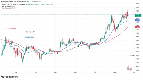 BNB's Upward Movement Stops At A High Of $870