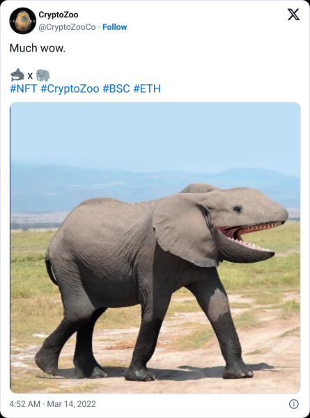 Texas judge backs Logan Paul’s bid to escape CryptoZoo lawsuit Texas judge backs Logan Paul’s bid to escape CryptoZoo lawsuit