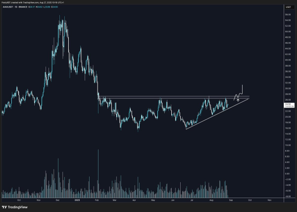 Avalanche vs Solana — Which Layer-1 Altcoin Holds the Edge in Ecosystem Growth This Year?