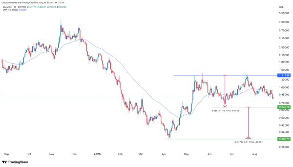 WIF price at risk of a crash despite whale buying frenzy