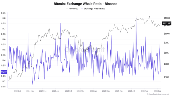 Bitcoin Holds $112,000 Support As Binance Whale Activity Cools Off – What’s Ahead?