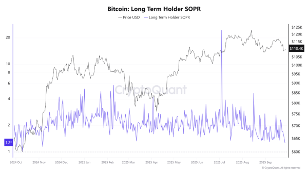 Bitcoin Bull Market Endures as On-Chain Data Confirms Strength Bitcoin Bull Market Endures as On-Chain Data Confirms Strength