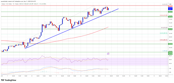Solana (SOL) Pushes Higher – Is More Upside Still Ahead?