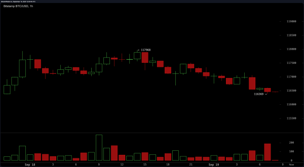 Bitcoin Price Watch: Will BTC Break $118K Resistance or Face a Correction?