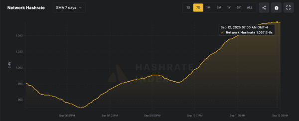 Another Day, Another Record: Bitcoin’s Computing Muscle Flexes Harder