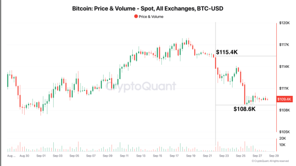 Bitcoin Buyers Step Back After Failed Push Beyond $115,000: Data