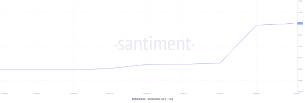 Crypto Whales Bought These Altcoins in the Third Week of September 2025