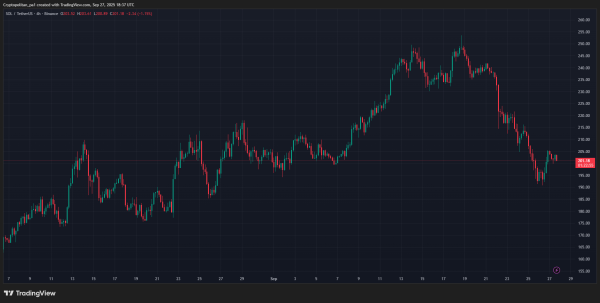 Solana price prediction 2025-2031: Trends and insights for investors