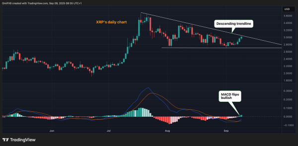 BTC/USD and DOGE/BTC Race Towards Bullish Breakout; XRP MACD Turns Bullish