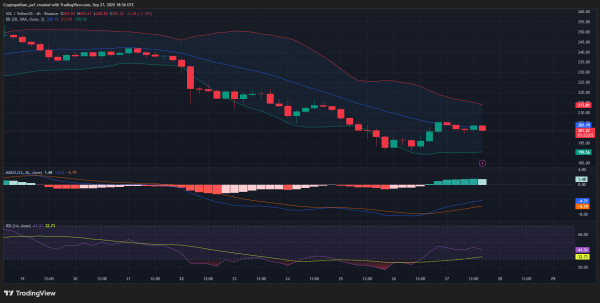 Solana price prediction 2025-2031: Trends and insights for investors