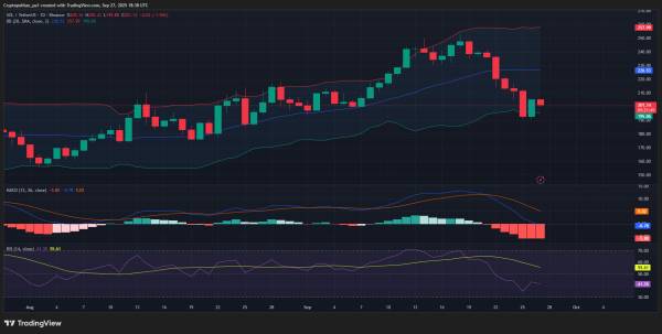 Solana price prediction 2025-2031: Trends and insights for investors