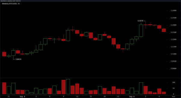 Bitcoin Price Watch: Bulls Eye Breakout as Price Circles $113K Ceiling Bitcoin Price Watch: Bulls Eye Breakout as Price Circles $113K Ceiling