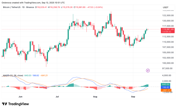 Bitcoin Flips Key Support, Bulls Now Target $117,000