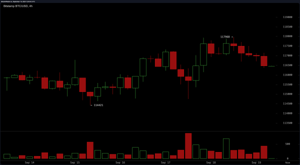 Bitcoin Price Watch: Will BTC Break $118K Resistance or Face a Correction?