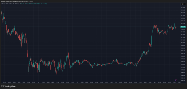 Bitcoin Buyers Step Back After Failed Push Beyond $115,000: Data