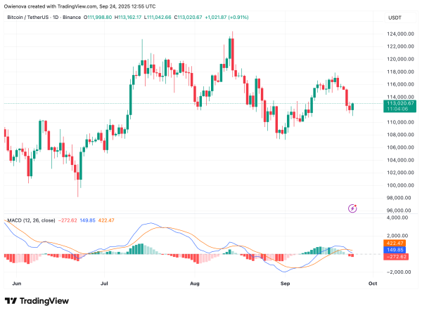 Bitcoin’s Path Unclear As Subwave Chaos Meets Key Resistance At $113,000