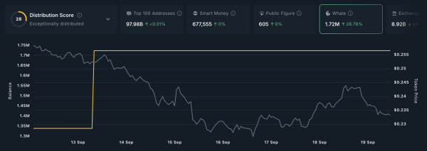 Crypto Whales Bought These Altcoins in the Third Week of September 2025