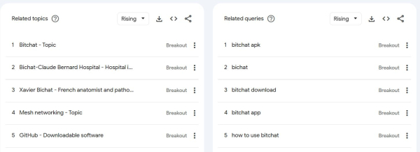 Bitchat searches, downloads spike in Madagascar amid protests