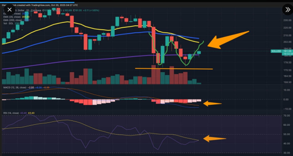 Ethereum Whales Buy the Dip — 5 Best Altcoins to Buy Before the Next Major Rally Ethereum Whales Buy the Dip — 5 Best Altcoins to Buy Before the Next Major Rally