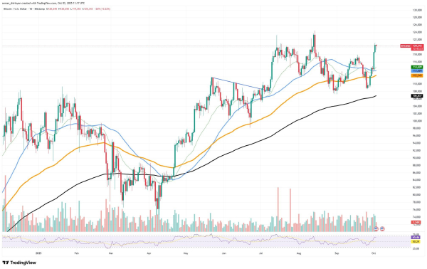 Bitcoin (BTC) Can Even Hit $200,000, According to Popular Indicator