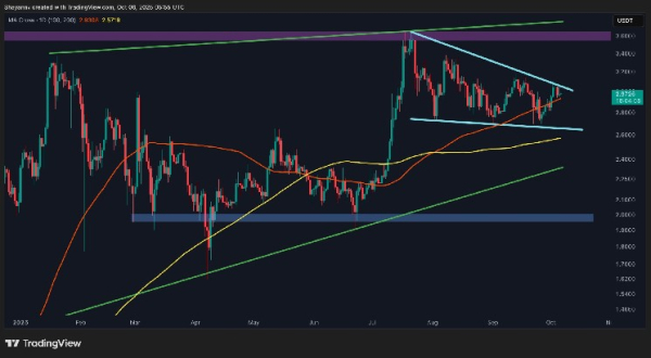 Ripple Price Analysis: is XRP Due for a Correction Below $3?
