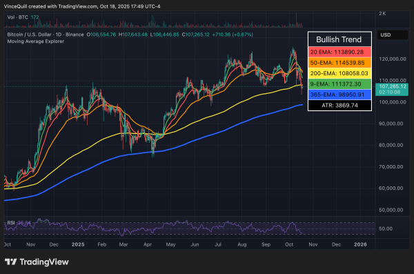 Satoshi's Bitcoin stash declined by over $20B from all-time high amid crash