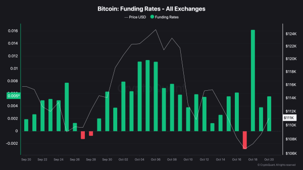 Bitcoin Hits Key Support: Bull Run or Bull Trap? Bitcoin Hits Key Support: Bull Run or Bull Trap?