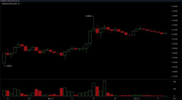 Bitcoin Price Watch: Sky-High Momentum Meets Fading Volume