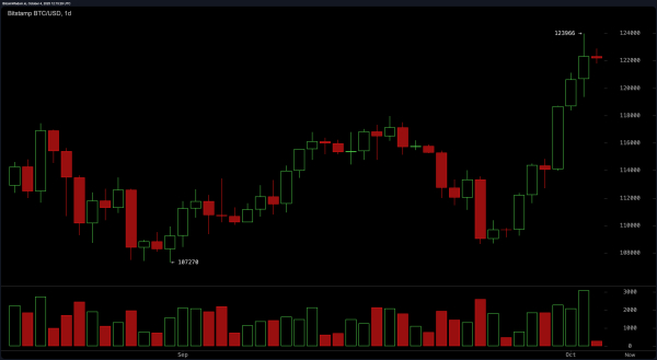 Bitcoin Price Watch: Sky-High Momentum Meets Fading Volume