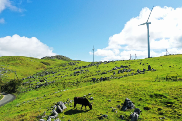 Japan’s Local Governments Use NFTs for Regional Revival & Tourism