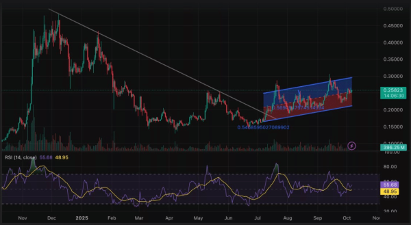 Dogecoin (DOGE) Eyes $1 After Breakout While MAGACOIN FINANCE Forecasts 100x ROI by Next Year