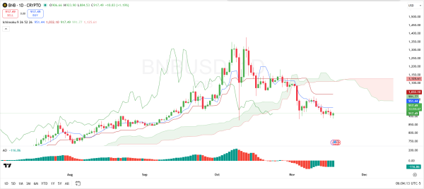 Here Are Key Resistance Levels BNB Must Break to Reach $1,109