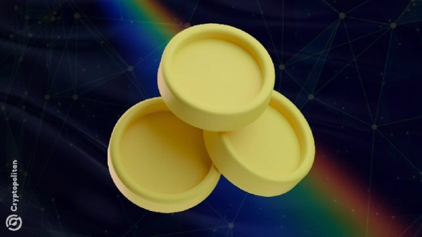 Whales dominate liquidity flow on DeFi yield protocols and lending hubs Whales dominate liquidity flow on DeFi yield protocols and lending hubs