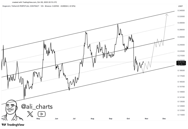 Dogecoin Plunges To $0.18 As Whales Sell 440 Million DOGE