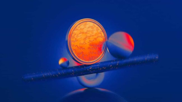 A New Crypto Project Vowed to Transform Stablecoins. Then Its Token Crashed 90% A New Crypto Project Vowed to Transform Stablecoins. Then Its Token Crashed 90%