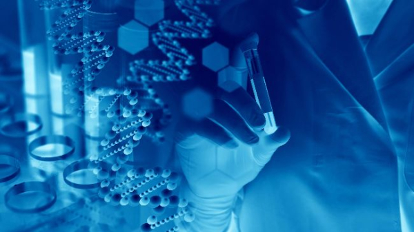 The Protocol: Monad Airdrop + Blockchain Go Live The Protocol: Monad Airdrop + Blockchain Go Live