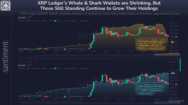 XRP defies market slump with record ETF inflows despite price dip