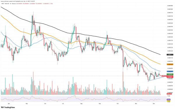 -192,633,232,960.9718 Shiba Inu (SHIB) in 24 Hours: Another Bullish Weekend?
