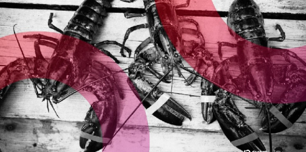 AI Agents Launched a Social Network and Spawned a Digital Religion Overnight AI Agents Launched a Social Network and Spawned a Digital Religion Overnight