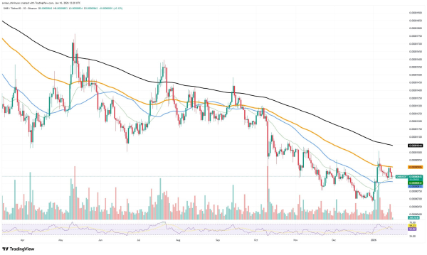 -606,000,000 Shiba Inu (SHIB) in Best Metric Possible: Is It Biggest Signal for Now?